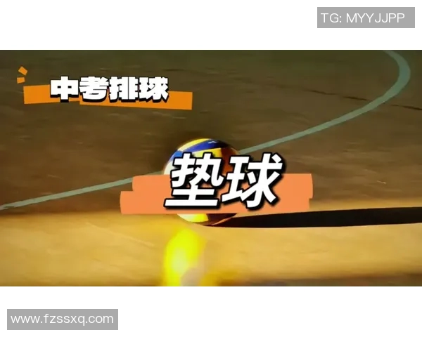 成都排球队的转换打法深度解析与战术创新探讨