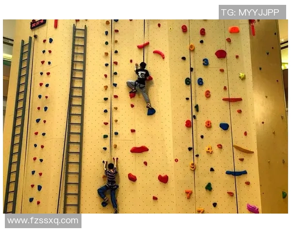 武汉攀岩队灵活性研究：探索攀岩运动中的适应与发展策略