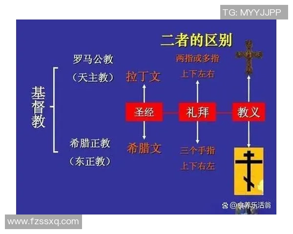 普R斯与拿加沙的对决:历史背景与未来走向的深度剖析 普R斯与拿加沙的对决:历史背景与未来走向的深度剖析
