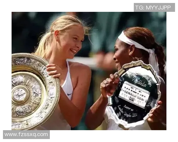 沙尔克与沃尔夫在2017年的精彩对决回顾与分析