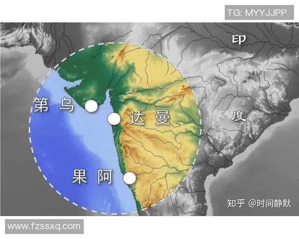 赖斯的外交智慧与全球合作新机遇探讨