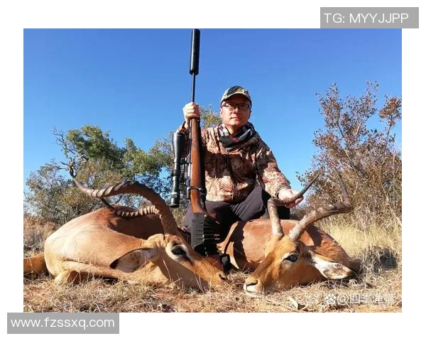 霍伊伦的传奇人生与不朽贡献探秘之旅